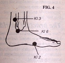 Diagram of Foot - Copyright – Stock Photo / Register Mark
