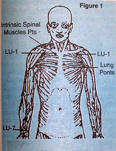 Diagram of Acupuncture Points - Copyright – Stock Photo / Register Mark