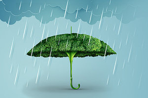 broccoli umbrella - Copyright – Stock Photo / Register Mark