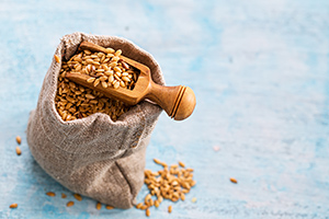 flax seeds - Copyright – Stock Photo / Register Mark