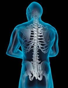 back spine - Copyright – Stock Photo / Register Mark