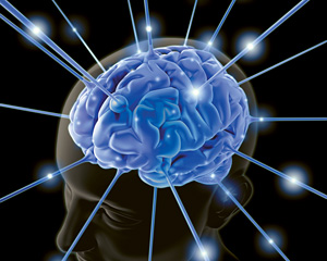 brain electrodes - Copyright – Stock Photo / Register Mark