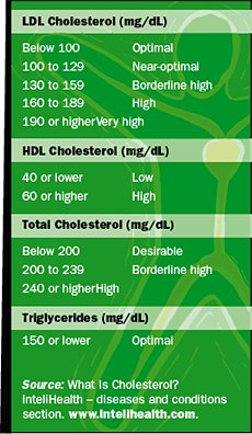 Cholesterol: The Good, the Bad, and the Controversial - Copyright – Stock Photo / Register Mark