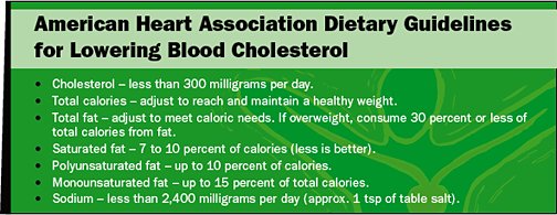 Cholesterol: The Good, the Bad, and the Controversial - Copyright – Stock Photo / Register Mark