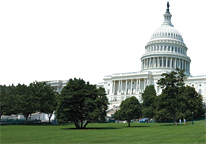 The House of Congress - Copyright – Stock Photo / Register Mark