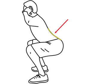 back squat - Copyright – Stock Photo / Register Mark