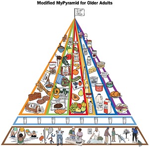 Food Pyramid Modified for Older Adults - Copyright – Stock Photo / Register Mark
