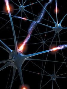 neurons and nerves - Copyright – Stock Photo / Register Mark