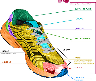 anatomy of shoe - Copyright – Stock Photo / Register Mark
