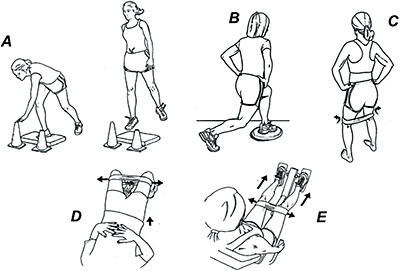hip abductor exercises - Copyright – Stock Photo / Register Mark